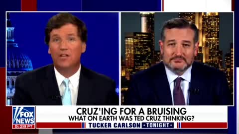 Tucker Carlson interviewer Ted Cruz som indrømmer at han har løjet om 6. Jan