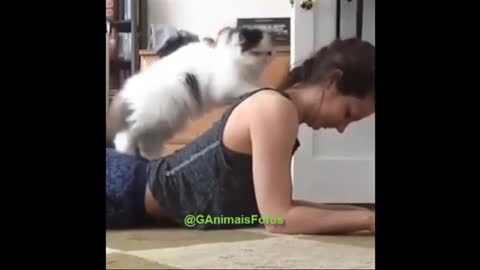 kitten masseuse