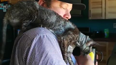 Cat love from Cornish Rex