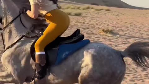 Dubai dessert horse riding