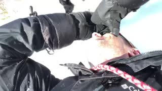 Dog Chases His Human Sledding Down Ski Hill