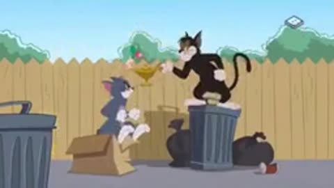 Tom and Jerry are cutest partner #funny video #viral shorts