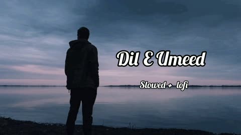 Dil E Umeed (Slowed + Lofi) Full Song.