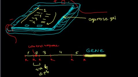 Identifying a protein binding sites on DNA molecule