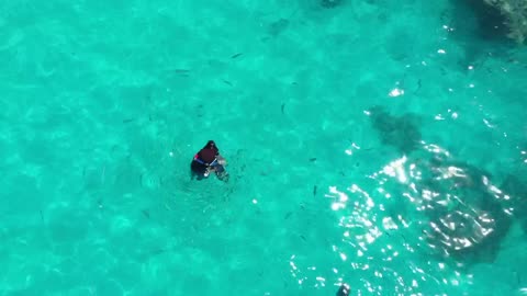 A person snorkeling in a turquoise water with reef