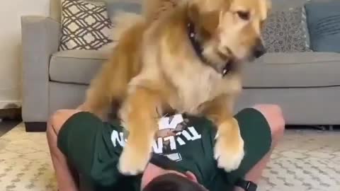 The dog is the best trainer
