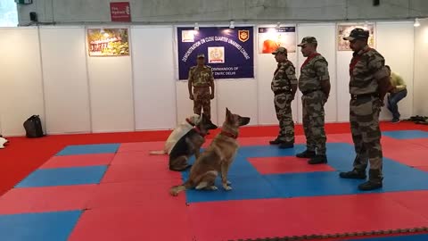 CISF demonstration of Dog Squad