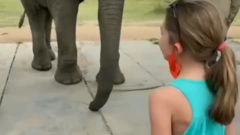 Elephant imitating the girl