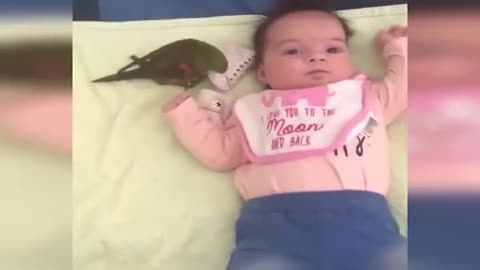 Baby funny videos make your lough in 2 minutes