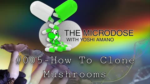 How to Clone Mushrooms - The Microdose w/ Yoshi Amano ep 005