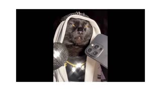 22M views: New Funny Animals 😂 Funniest Cats and Dogs Videos 😺🐶