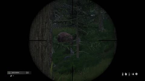 DayZ bear hunt