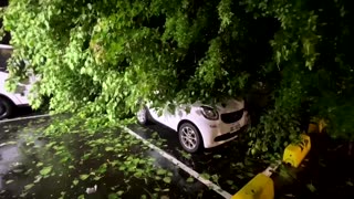 Typhoon Haikui damages cars and trees in southern Taiwan