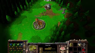 Bluff worked Warcraft 3 Win by Leaver 130MR