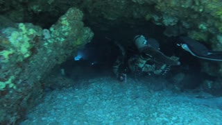 Cave diving in Lanai Hawaii.
