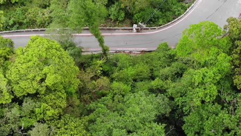 Driving on the Southern Cross-Island Highway 南橫公路 🇹🇼 (2020-05) {aerial}