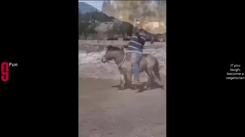 Try not to laugh 😂🤣 #shorts #feed #funny #viral