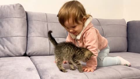 kitten Love's Having Fan With Baby
