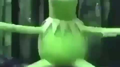 KERMIT FALL VINE