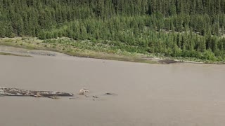 Over looking the Copper River, South of Glennallen Alaska