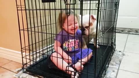 cute baby and dog memorial movements, most funniest video ever.