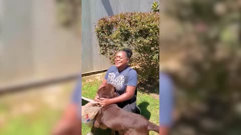 Animals Reunited With Owner After Years !