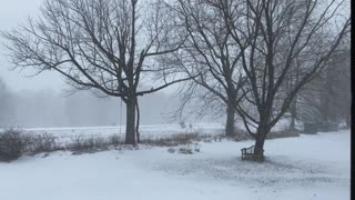 Winter Weather Snow Storm Relaxing Outside Nature Natural Video (01-25-2021)