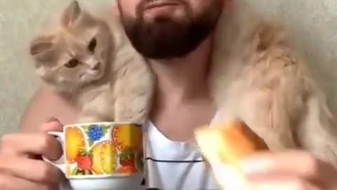 Funny cat with boy