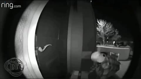 package thieves fails cough on camera and confronted