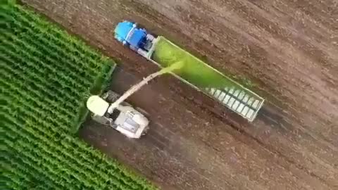 Modern farming
