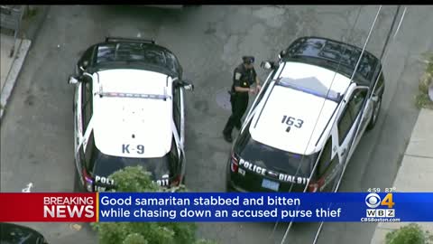 Purse snatcher stabs, bites good Samaritan trying to stop him, police say