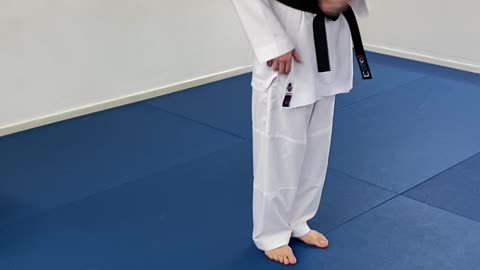 San Dan Gi White Belt explanation