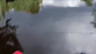 Kayaking Around the House After Hurricane Florence