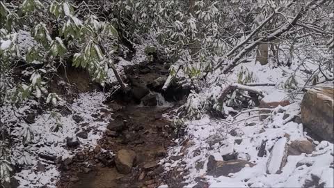 Snowy Creek in the Smoky Mountains with Ann M. Wolf