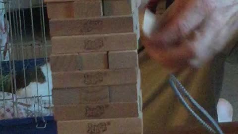 Amazing Jenga Skills