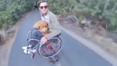 Radical dog walking