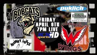 Bobcats Vs Wings