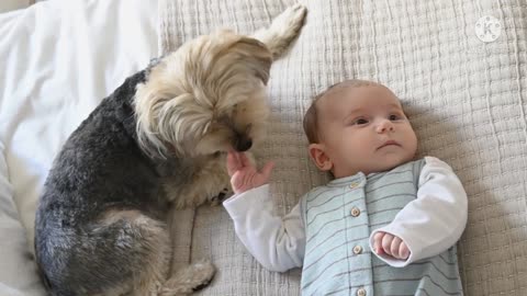 Say hi cute puppy🐶.. Cute 🐶 with cute baby