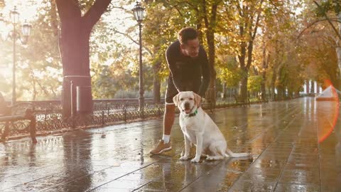 Portrait of young black man and his white labrador dog in city park during beautiful autumn morning