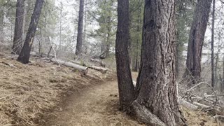 Formulating Your Morning Strategy – Deschutes River Trail – Central Oregon