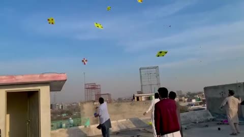 Pakistan kite flying