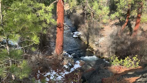 Descending an INCREDIBLE Mountainside – Whychus Creek Trail – Central Oregon