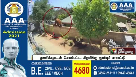 Puthiyathalaimurai Headlines News |America USA| |Bear vs. Dogs and Human|