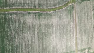 Drought is devastating crops in the Midwest