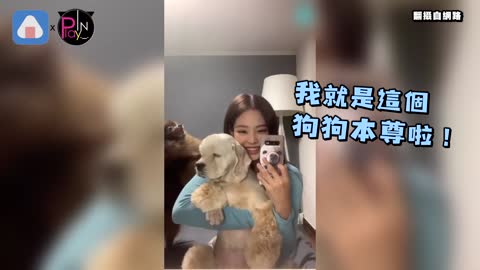 Jennie live and dog cute interactive super circle powder