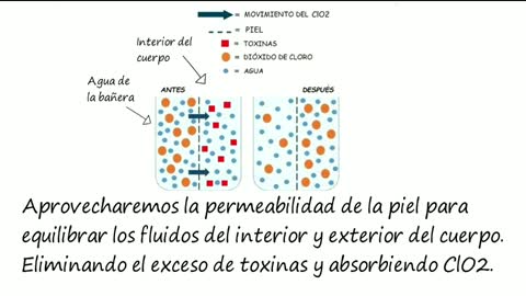 PROTOCOLO L LAVADO.