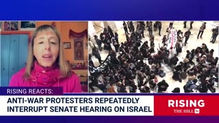 'CEASEFIRE NOW"? Anti War Protestors Interrupt Blinken During Hearing