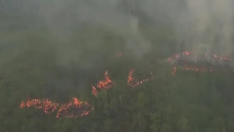 Extreme weather conditions keep wildfires active in several countries