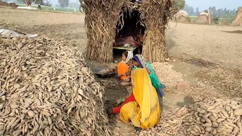 Life Full Of Hardships Of Poor Villagers. Uttar Pardesh Village Life In India