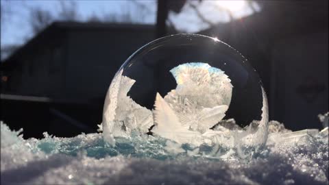 Photos by Dollie- Frozen Bubble #2